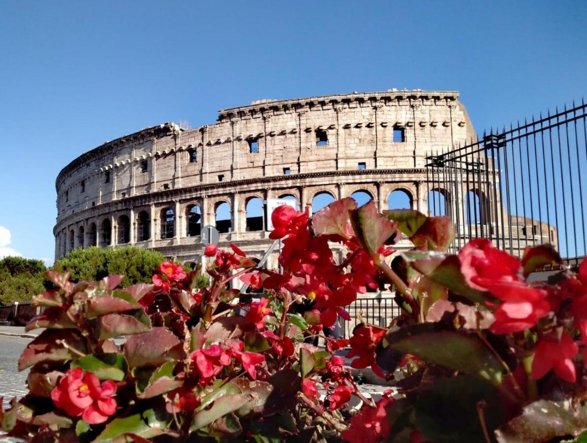 Casa S. Giuseppe Di Cluny Bed & Breakfast - Rome — Photos 3